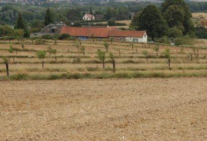 Weed Survey   in Northern Silvoarable Group in France
